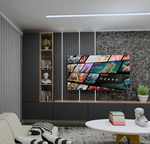 Luxury TV Setup